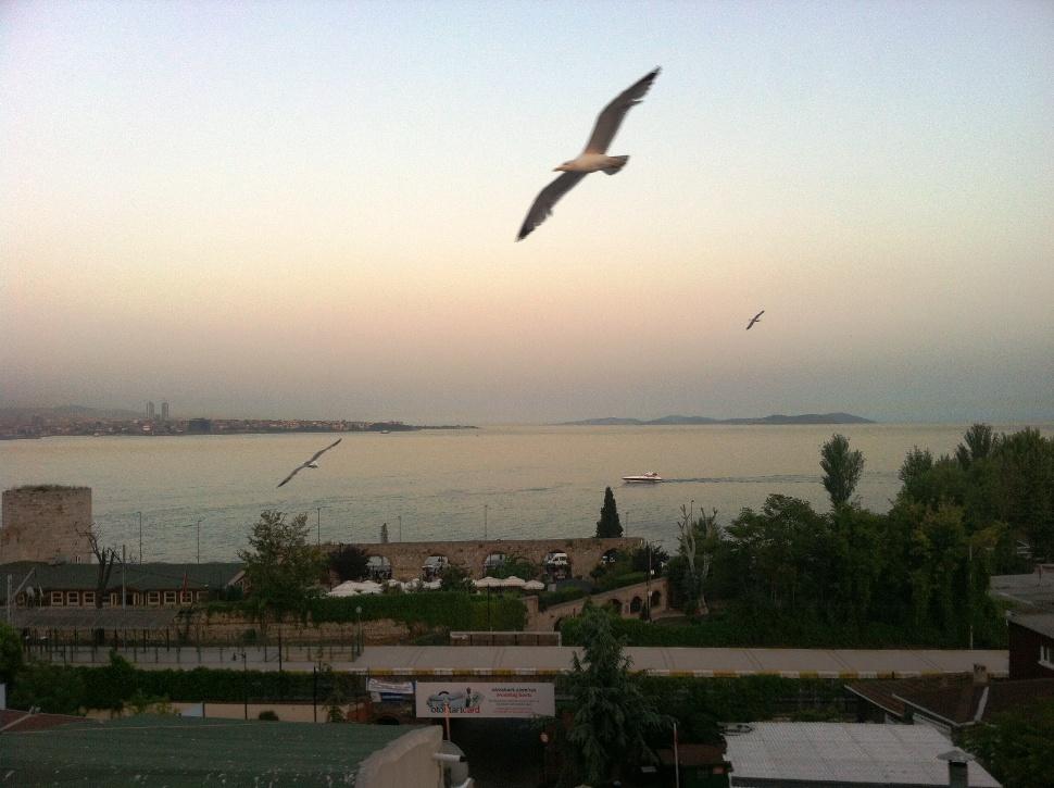 فندق سبينل اسطنبول المظهر الخارجي الصورة
